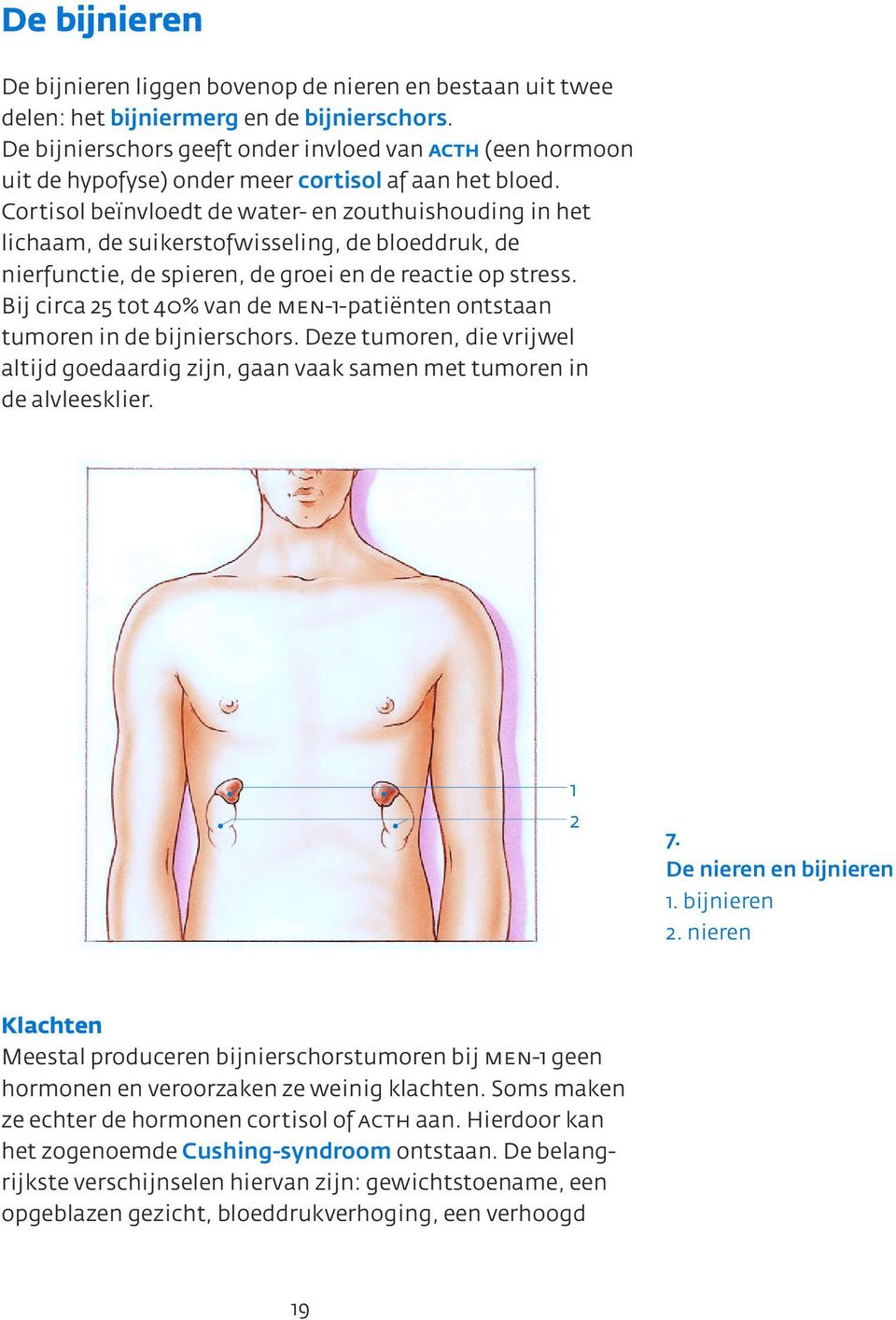 Cortisol beïnvloedt de water- en zouthuishouding in het lichaam, de suikerstofwisseling, de bloeddruk, de nierfunctie, de spieren, de groei en de reactie op stress.