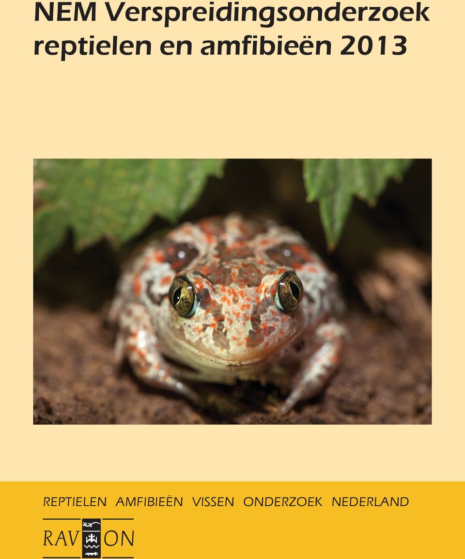 reptielen en amfibieën