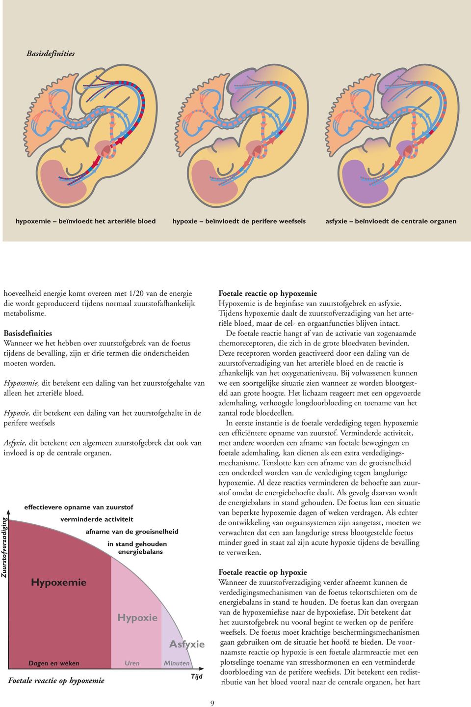 Basisdefinities Wanneer we het hebben over zuurstofgebrek van de foetus tijdens de bevalling, zijn er drie termen die onderscheiden moeten worden.