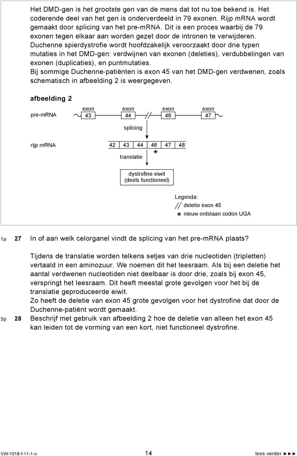 Duchenne spierdystrofie wordt hoofdzakelijk veroorzaakt door drie typen mutaties in het DMD-gen: verdwijnen van exonen (deleties), verdubbelingen van exonen (duplicaties), en puntmutaties.