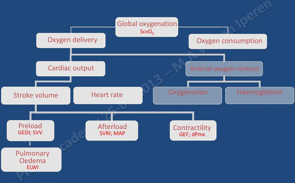 volume Heart rate Oxygenation Haemoglobine Preload GEDI;