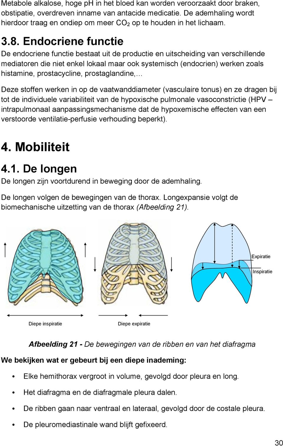 Endocriene functie De endocriene functie bestaat uit de productie en uitscheiding van verschillende mediatoren die niet enkel lokaal maar ook systemisch (endocrien) werken zoals histamine,