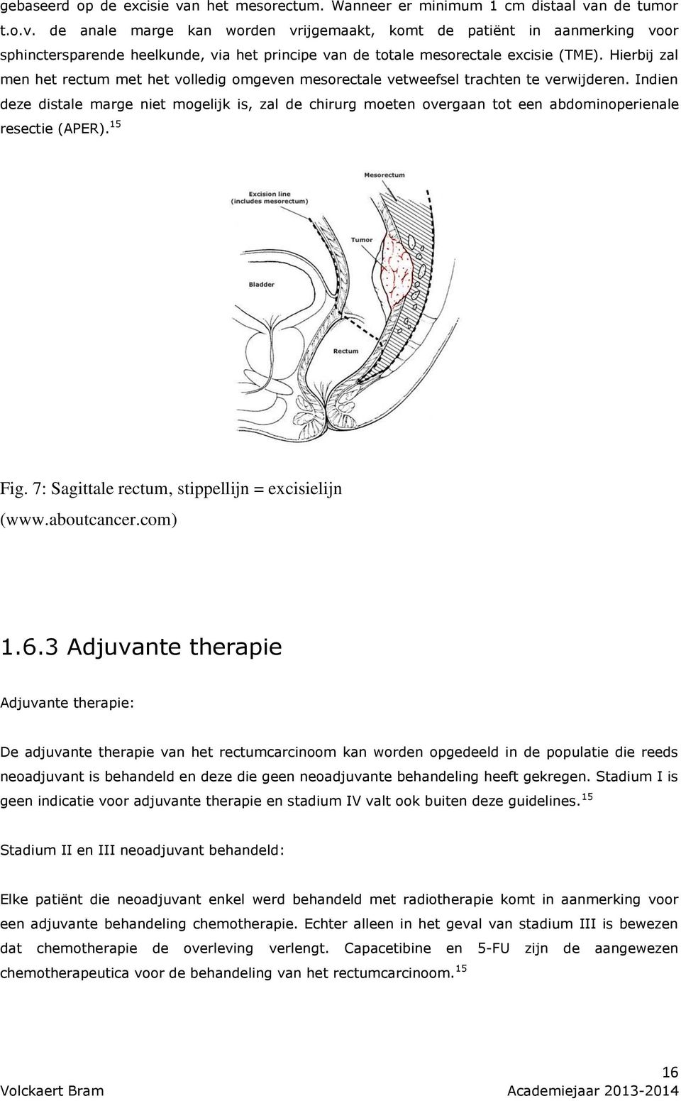 Indien deze distale marge niet mogelijk is, zal de chirurg moeten overgaan tot een abdominoperienale resectie (APER). 15 Fig. 7: Sagittale rectum, stippellijn = excisielijn (www.aboutcancer.com) 1.6.