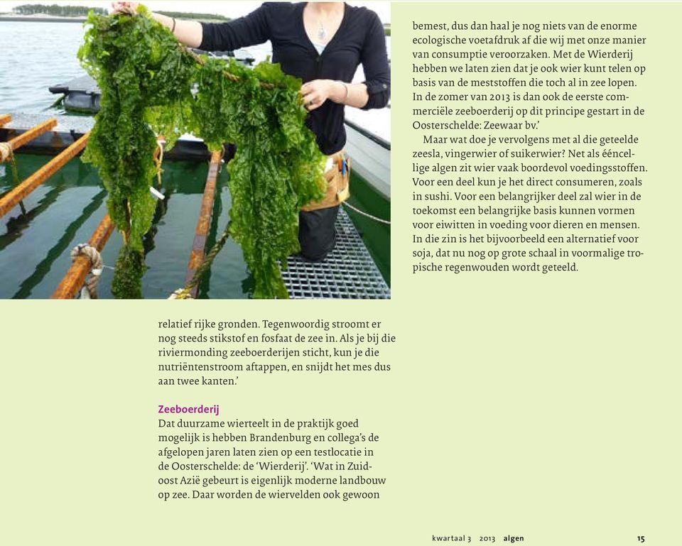 In de zomer van 2013 is dan ook de eerste commerciële zeeboerderij op dit principe gestart in de Oosterschelde: Zeewaar bv.