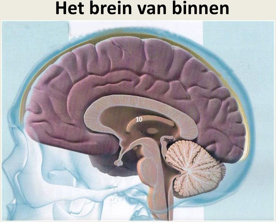 binnen