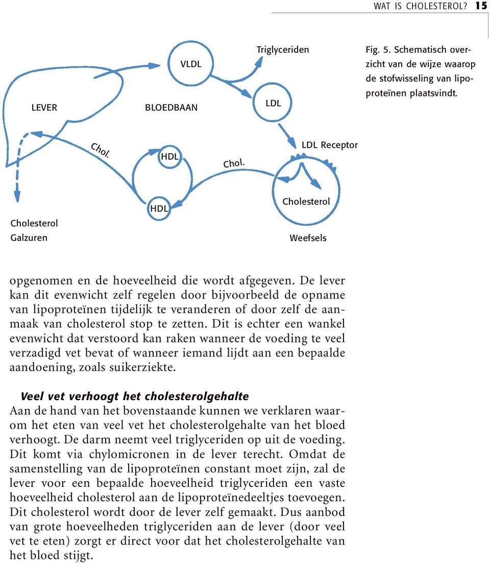 De lever kan dit evenwicht zelf regelen door bijvoorbeeld de opname van lipoproteïnen tijdelijk te veranderen of door zelf de aanmaak van cholesterol stop te zetten.