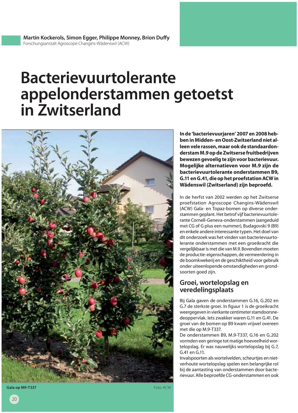 9 op de Zwitserse fruitbedrijven bewezen gevoelig te zijn voor bacterievuur. Mogelijke alternatieven voor M.9 zijn de bacterievuurtolerante onderstammen B9, G.11 en G.