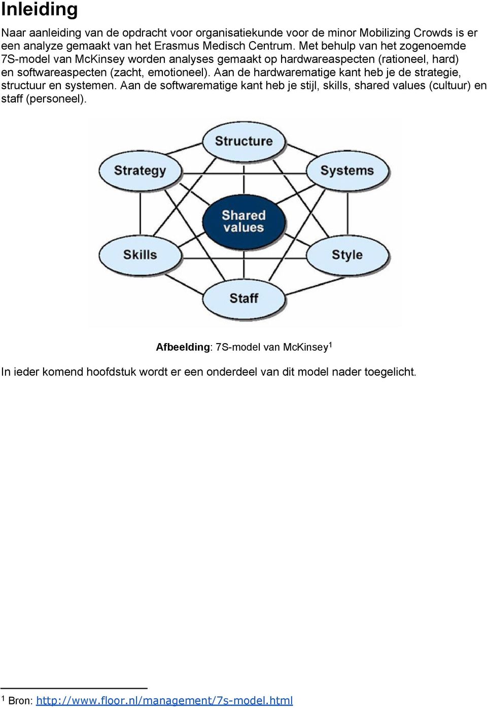 Aan de hardwarematige kant heb je de strategie, structuur en systemen.