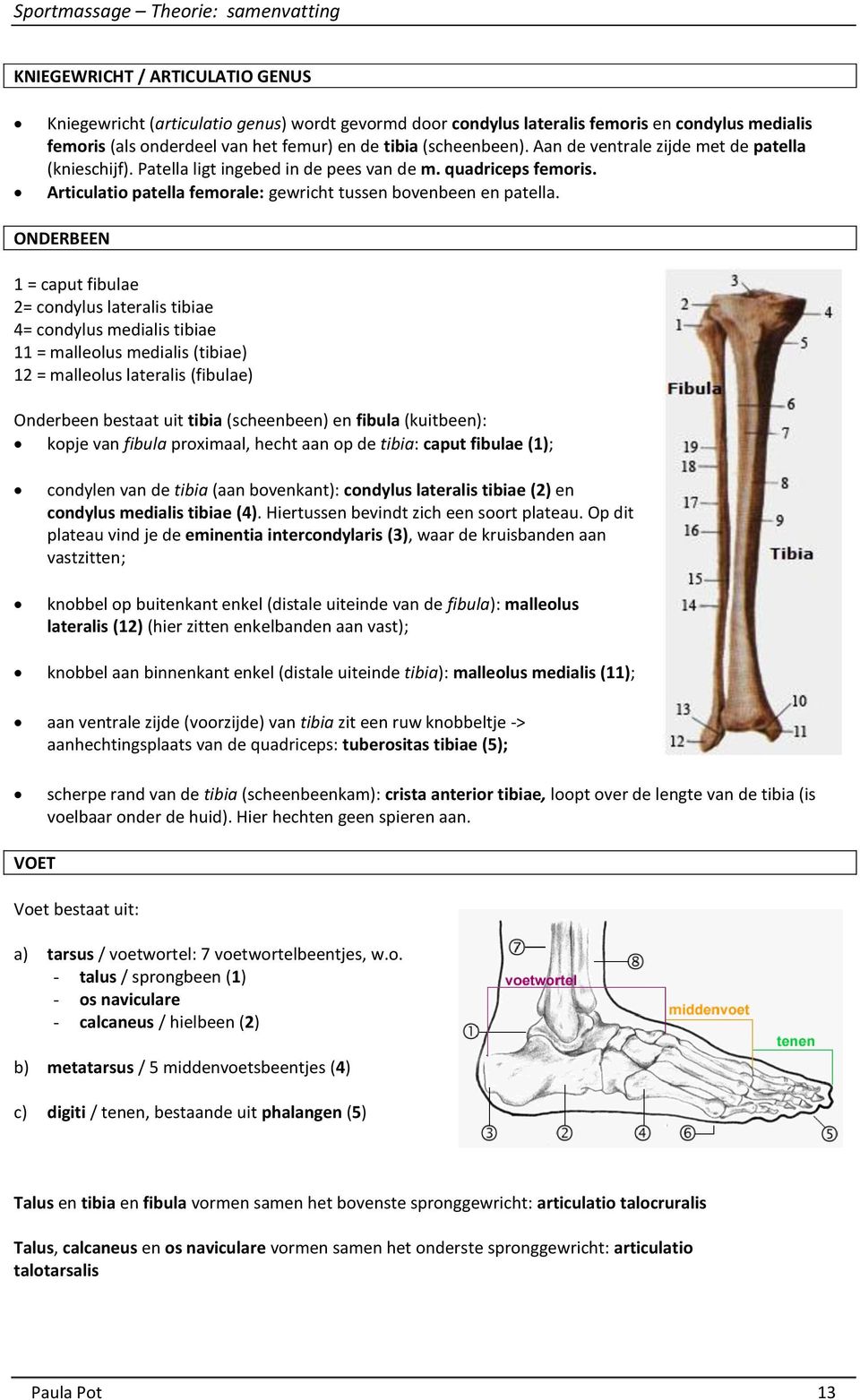 ONDERBEEN 1 = caput fibulae 2= condylus lateralis tibiae 4= condylus medialis tibiae 11 = malleolus medialis (tibiae) 12 = malleolus lateralis (fibulae) Onderbeen bestaat uit tibia (scheenbeen) en