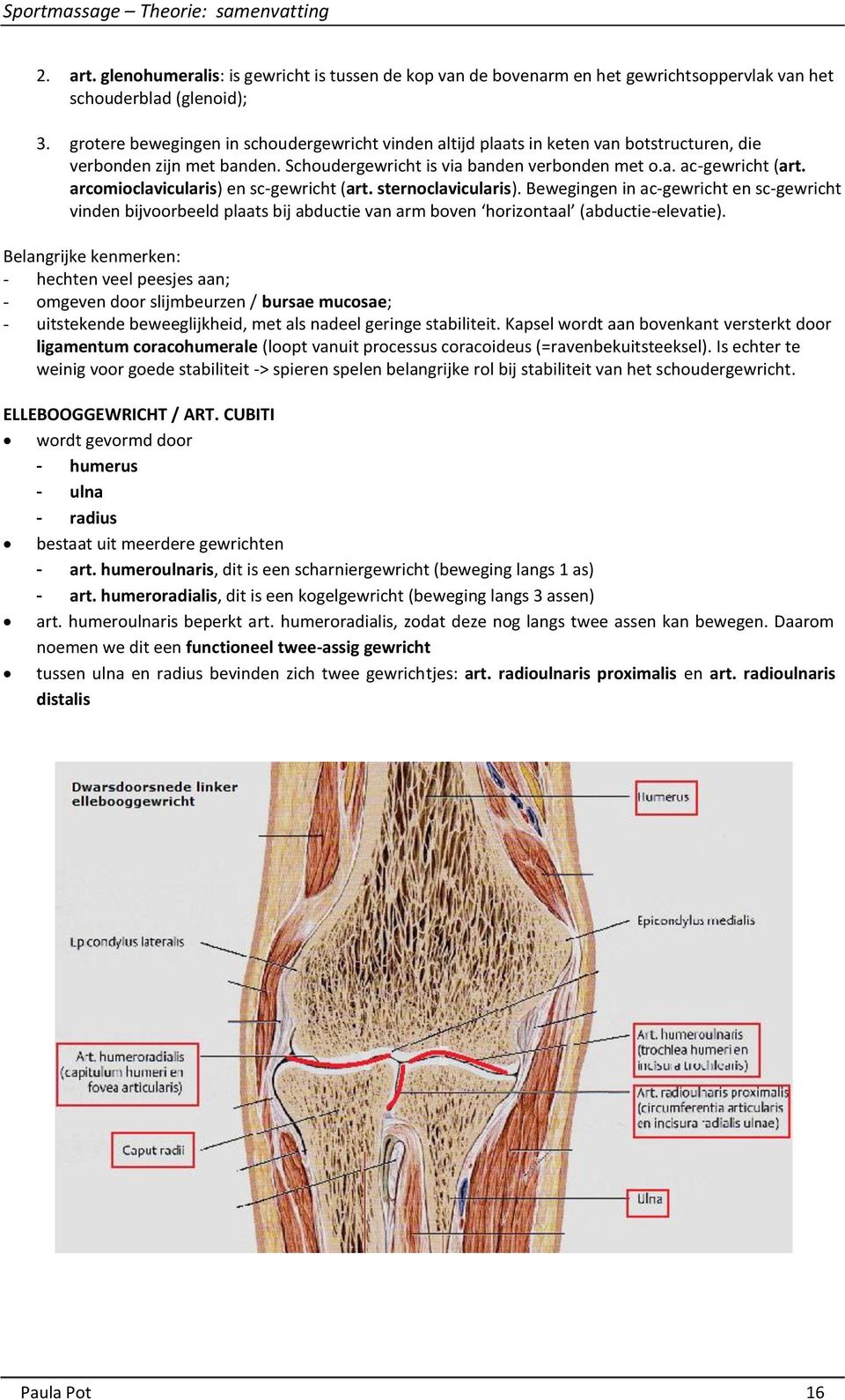 arcomioclavicularis) en sc-gewricht (art. sternoclavicularis). Bewegingen in ac-gewricht en sc-gewricht vinden bijvoorbeeld plaats bij abductie van arm boven horizontaal (abductie-elevatie).