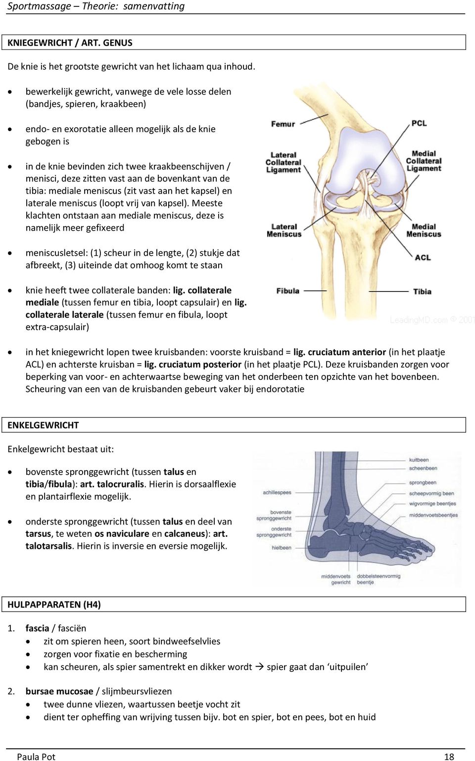 deze zitten vast aan de bovenkant van de tibia: mediale meniscus (zit vast aan het kapsel) en laterale meniscus (loopt vrij van kapsel).