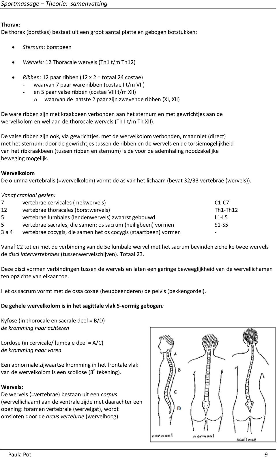 verbonden aan het sternum en met gewrichtjes aan de wervelkolom en wel aan de thorocale wervels (Th I t/m Th XII).