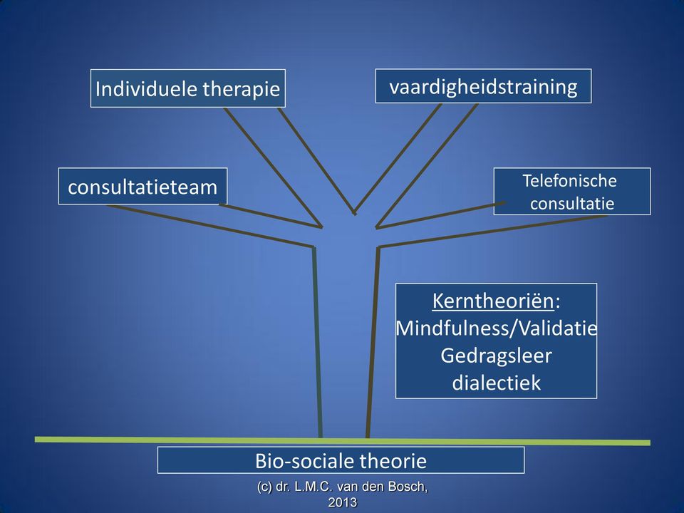 Telefonische consultatie Kerntheoriën: