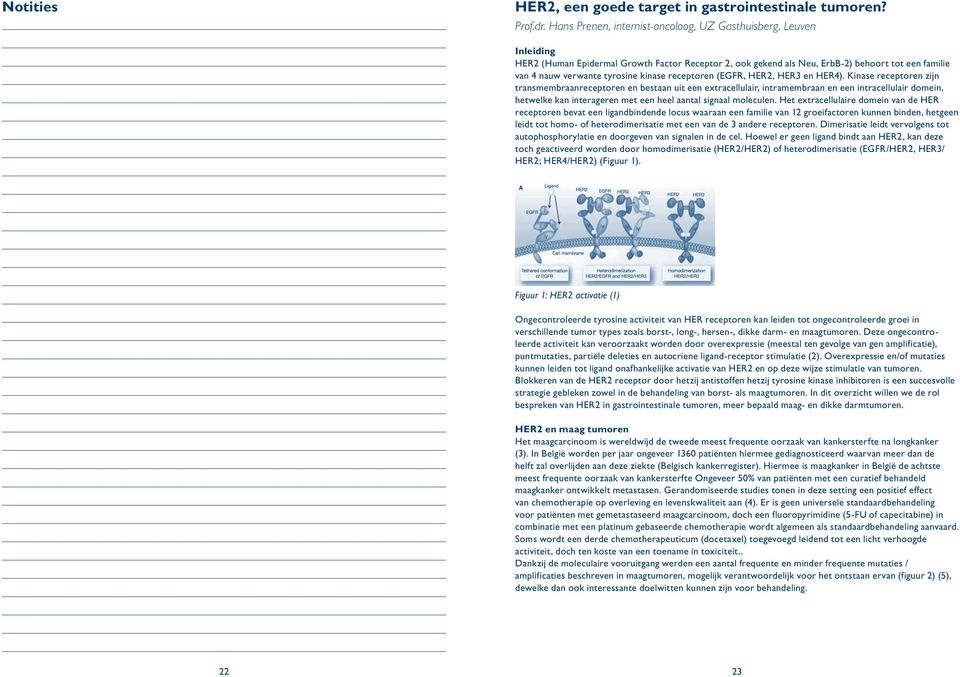 kinase receptoren (EGFR, HER2, HER3 en HER4).