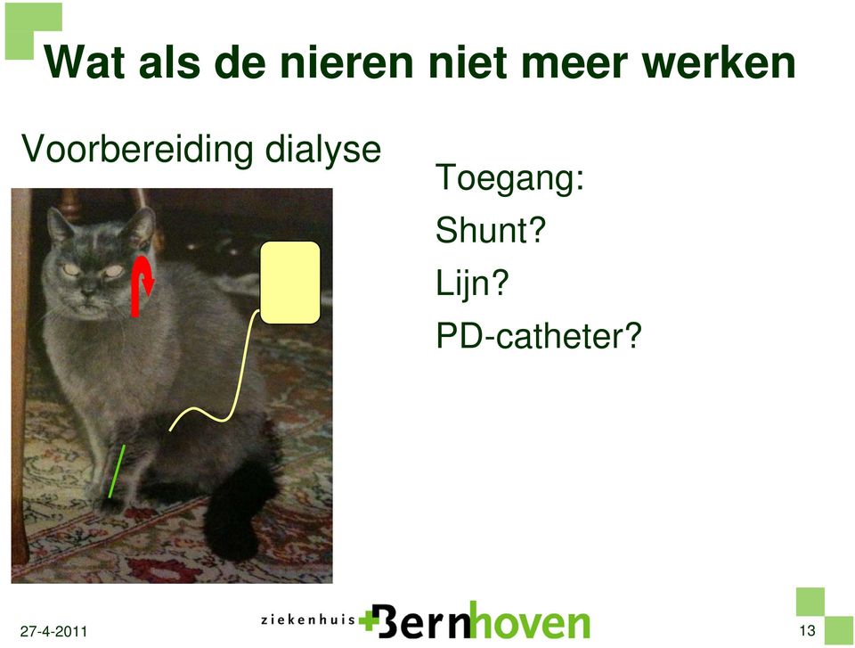 dialyse Toegang: Shunt?