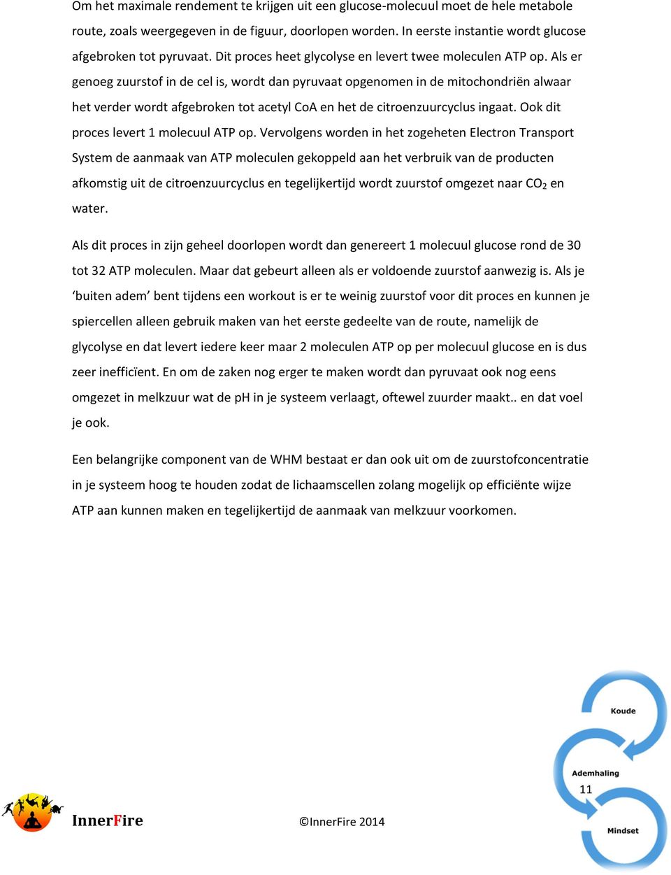 Als er genoeg zuurstof in de cel is, wordt dan pyruvaat opgenomen in de mitochondriën alwaar het verder wordt afgebroken tot acetyl CoA en het de citroenzuurcyclus ingaat.