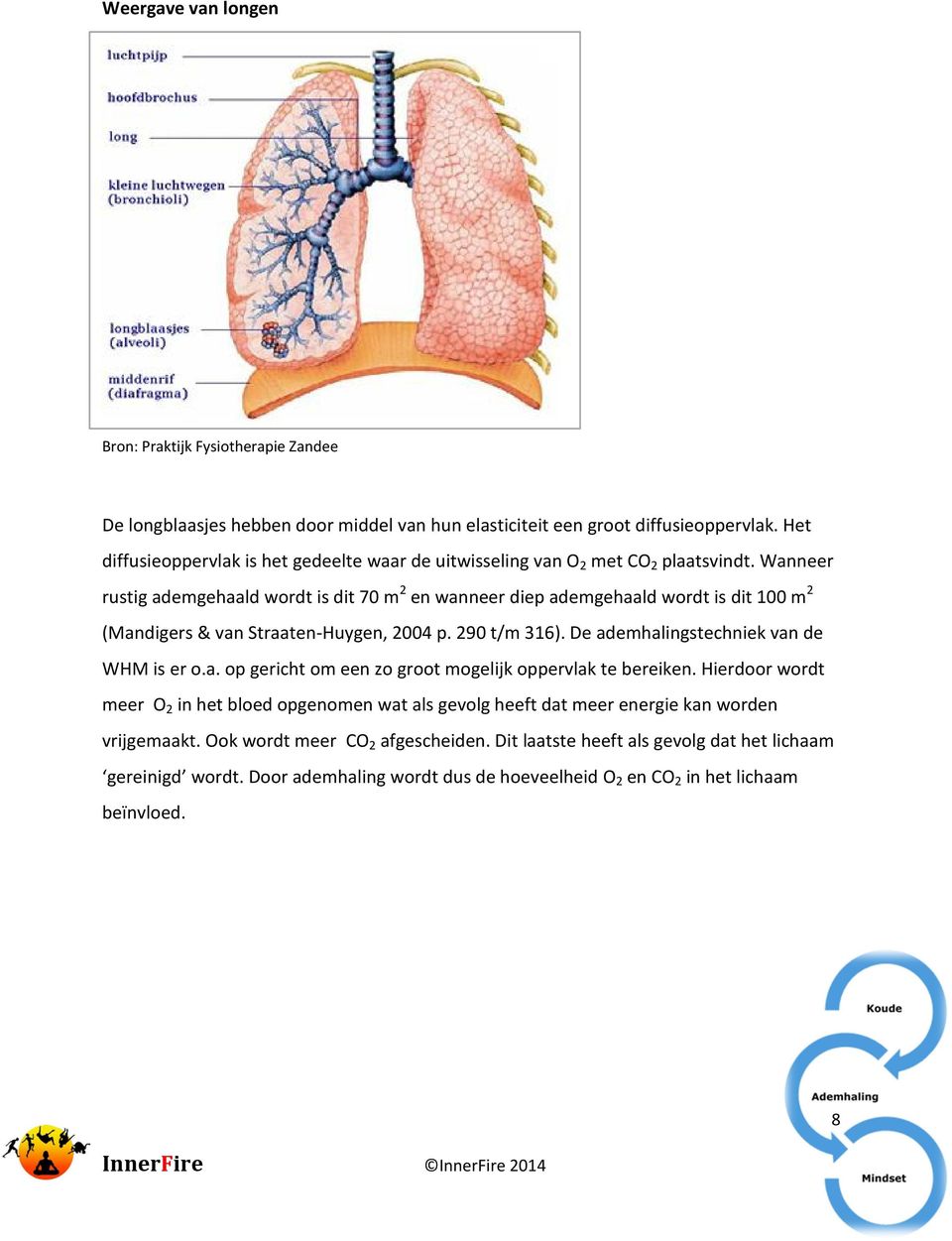 Wanneer rustig ademgehaald wordt is dit 70 m 2 en wanneer diep ademgehaald wordt is dit 100 m 2 (Mandigers & van Straaten-Huygen, 2004 p. 290 t/m 316).