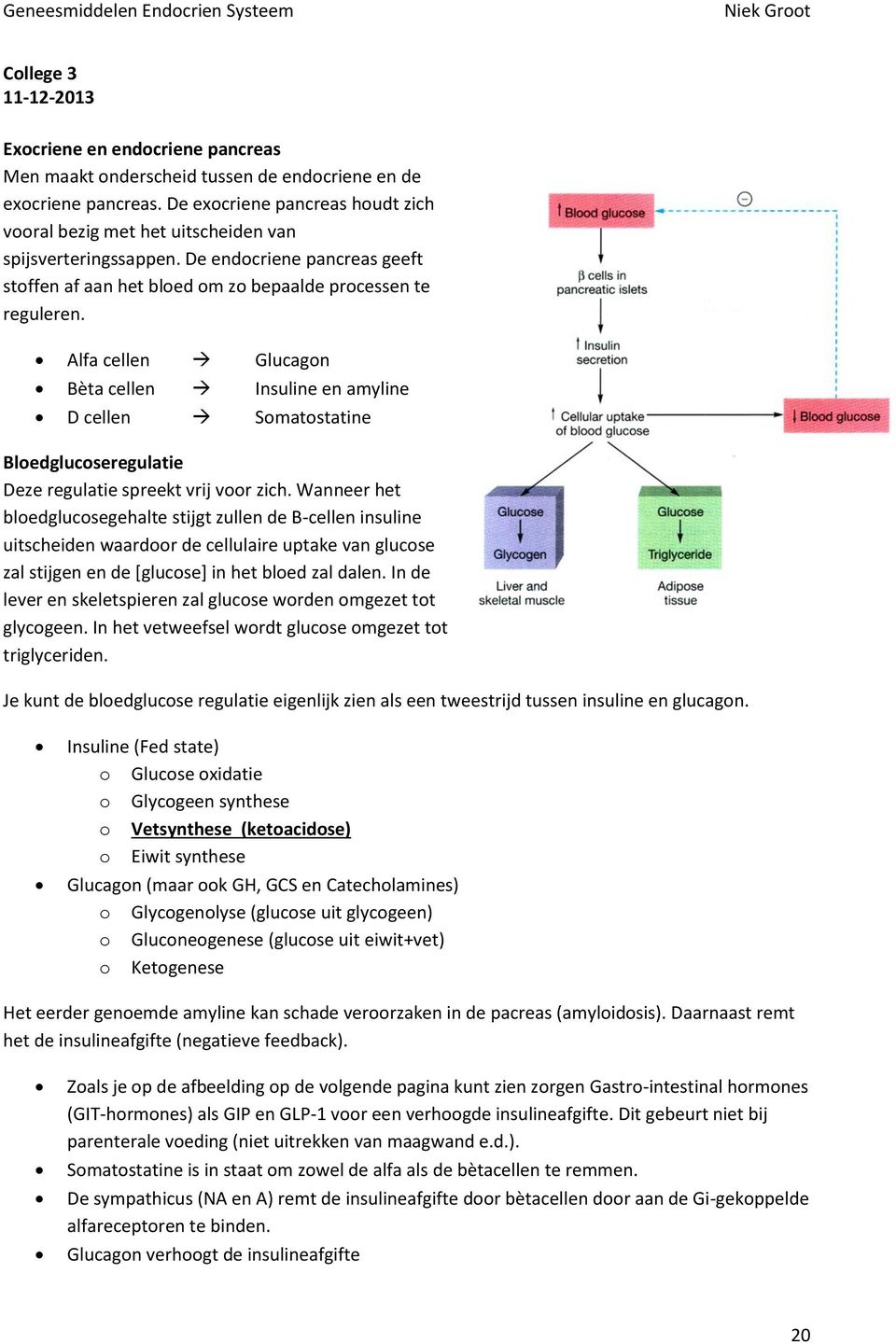 Alfa cellen Glucagon Bèta cellen Insuline en amyline D cellen Somatostatine Bloedglucoseregulatie Deze regulatie spreekt vrij voor zich.