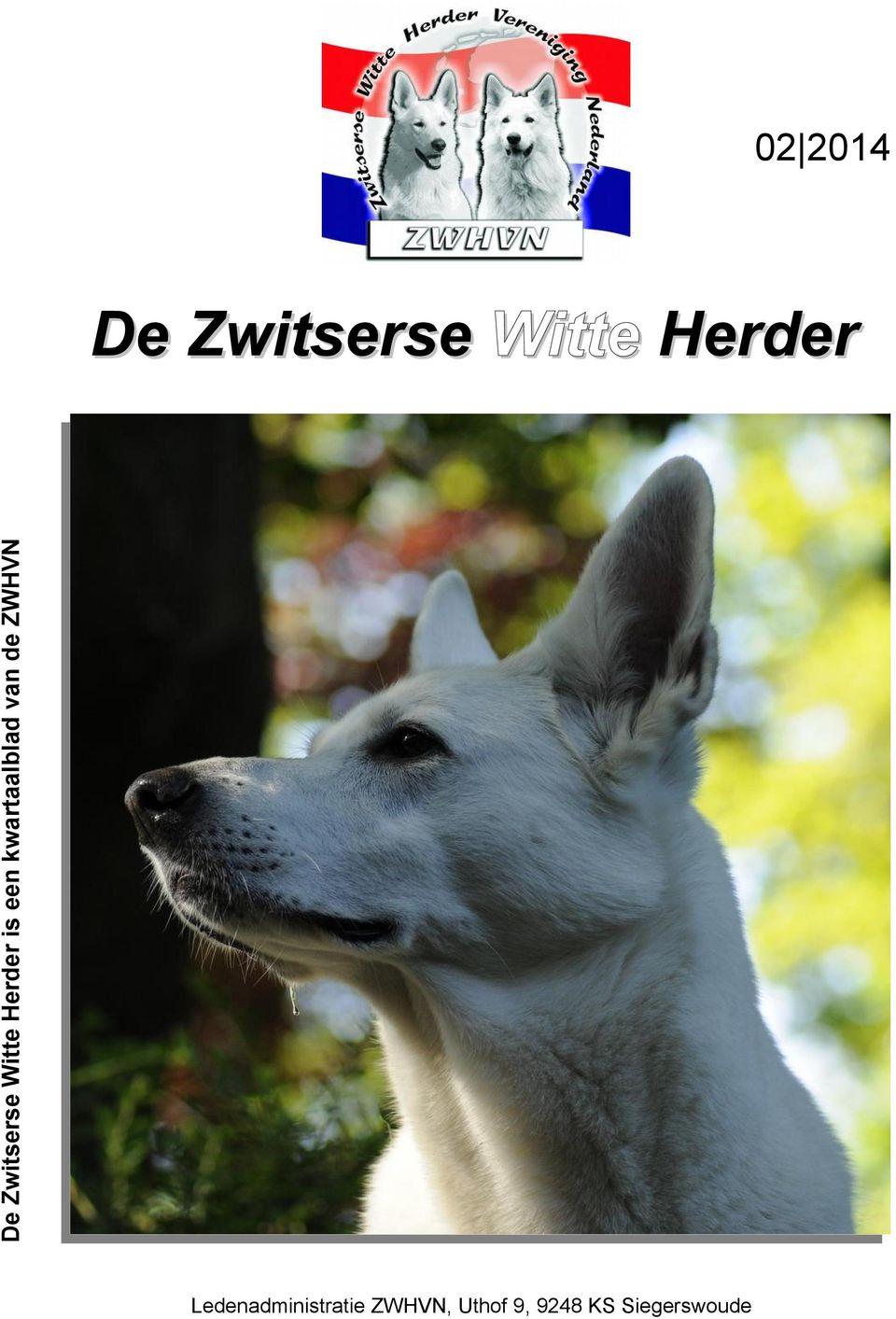 Zwitserse Witte Herder