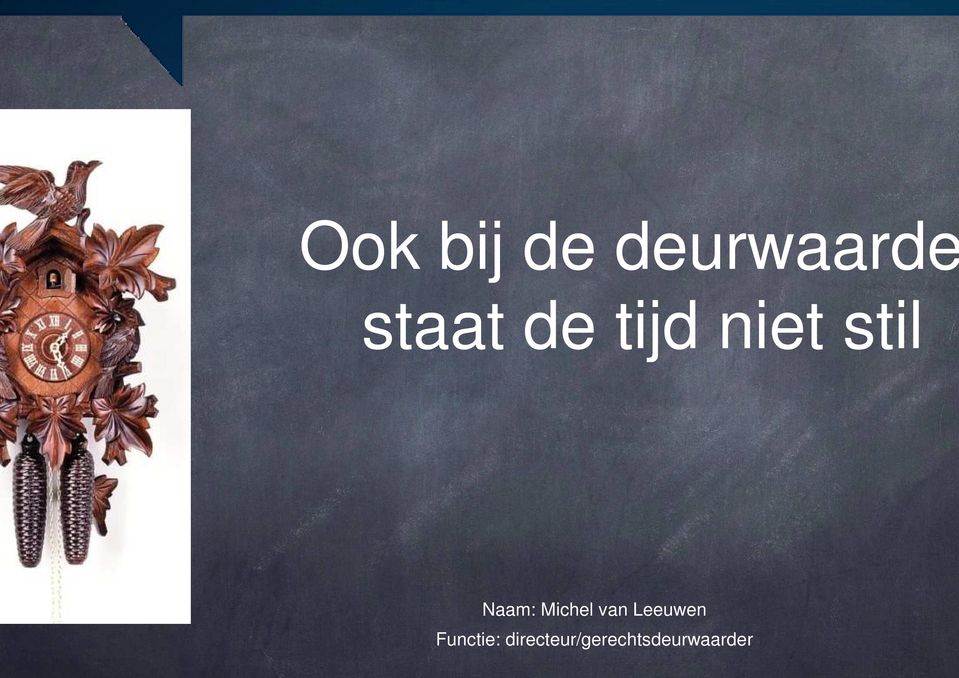 Michel van Leeuwen Functie: