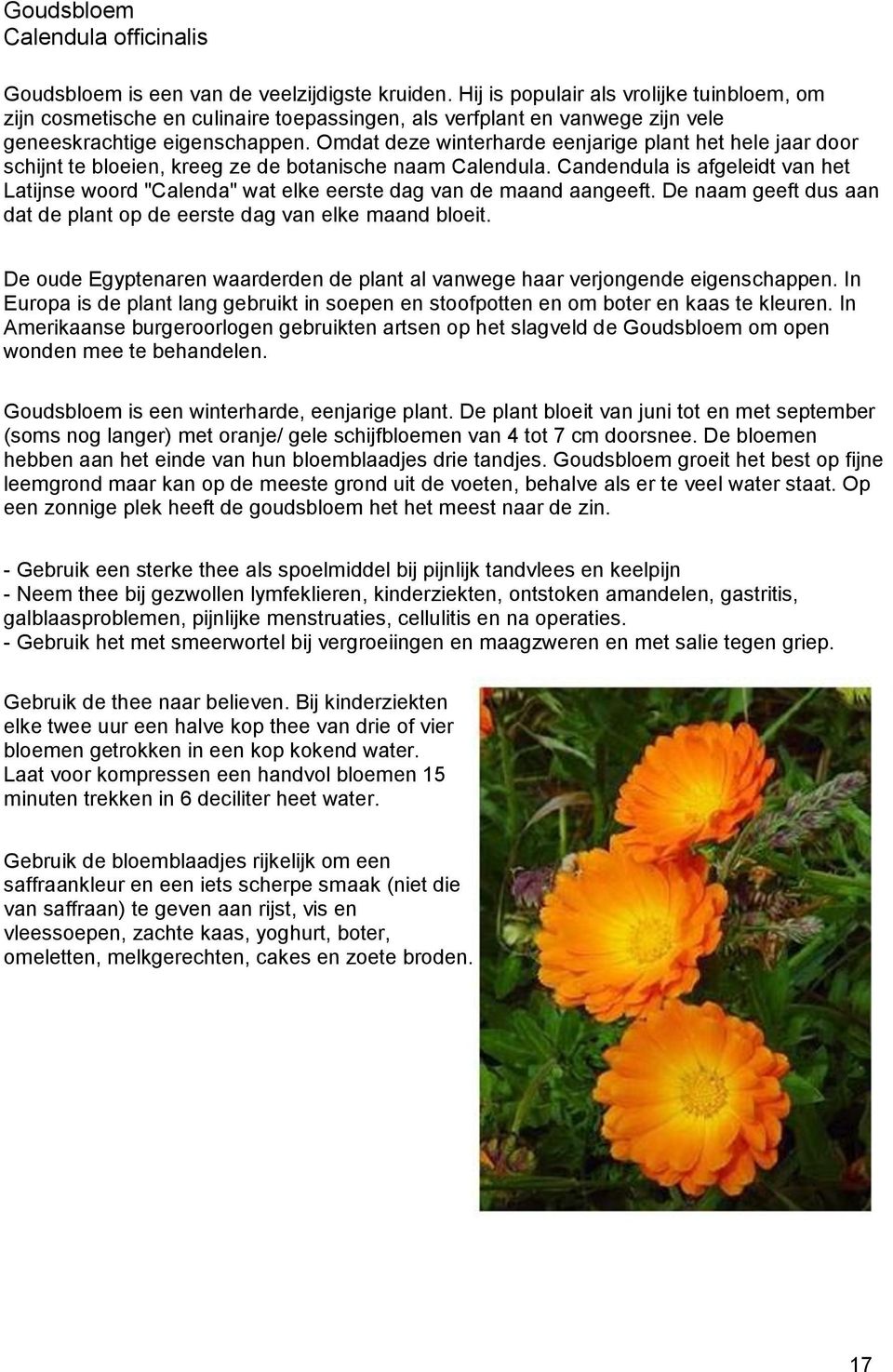 Omdat deze winterharde eenjarige plant het hele jaar door schijnt te bloeien, kreeg ze de botanische naam Calendula.