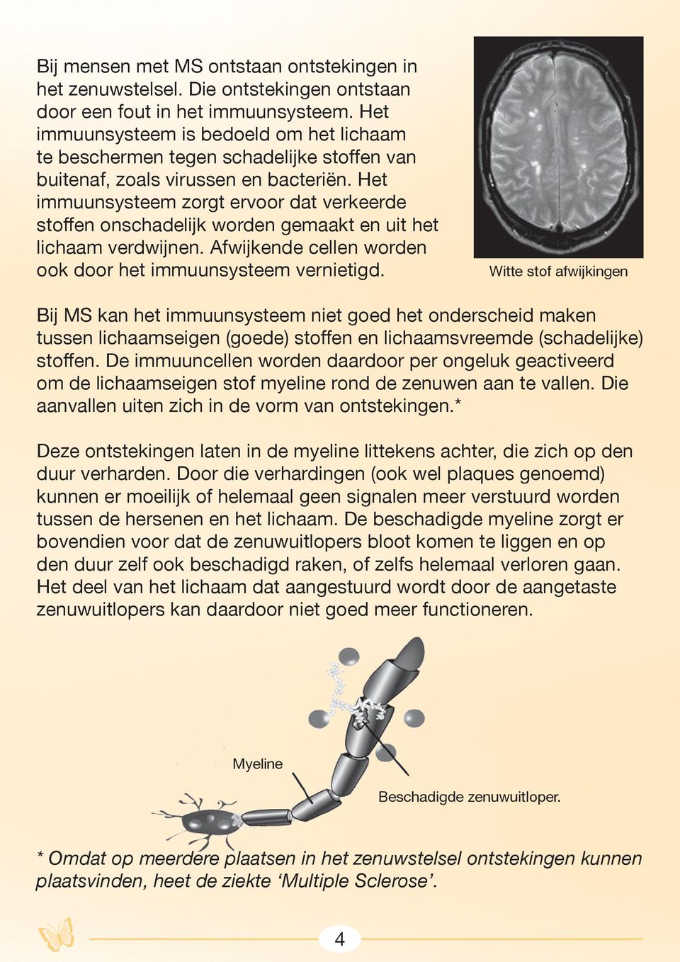 Het immuunsysteem zorgt ervoor dat verkeerde stoffen onschadelijk worden gemaakt en uit het lichaam verdwijnen. Afwijkende cellen worden ook door het immuunsysteem vernietigd.