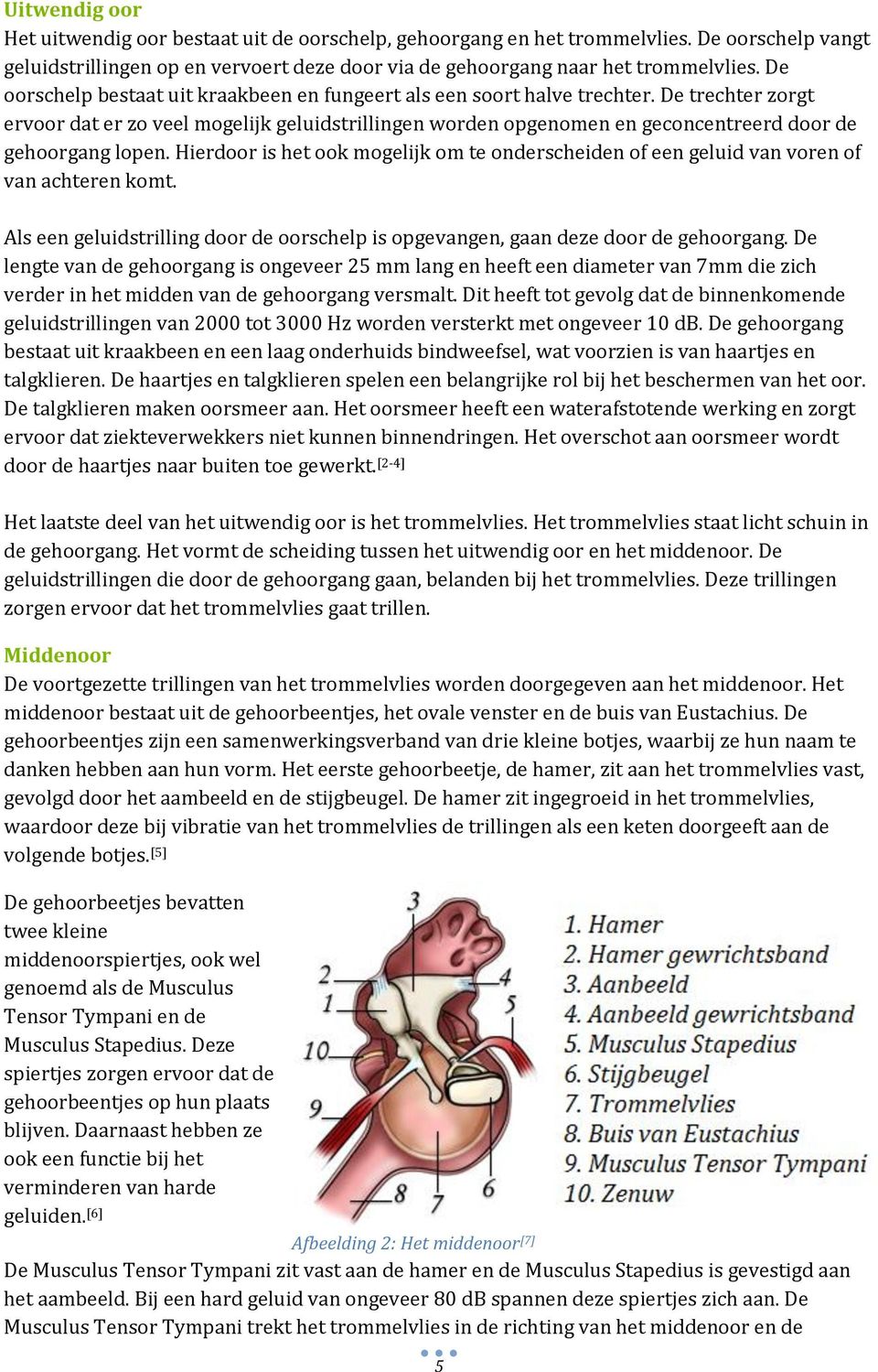 De trechter zorgt ervoor dat er zo veel mogelijk geluidstrillingen worden opgenomen en geconcentreerd door de gehoorgang lopen.