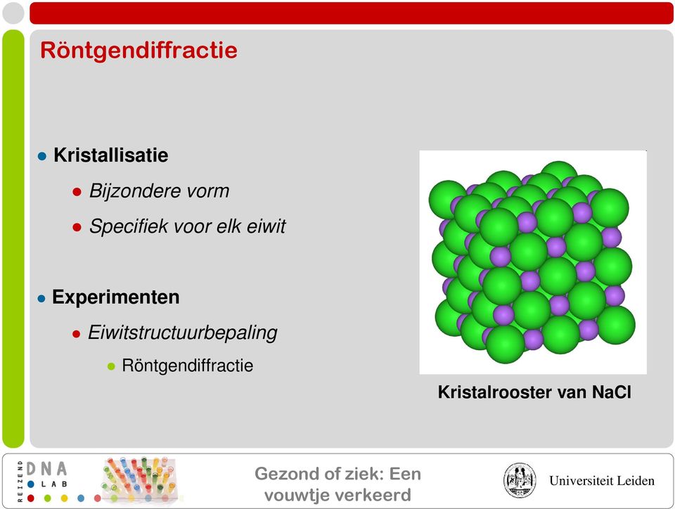 eiwit Experimenten