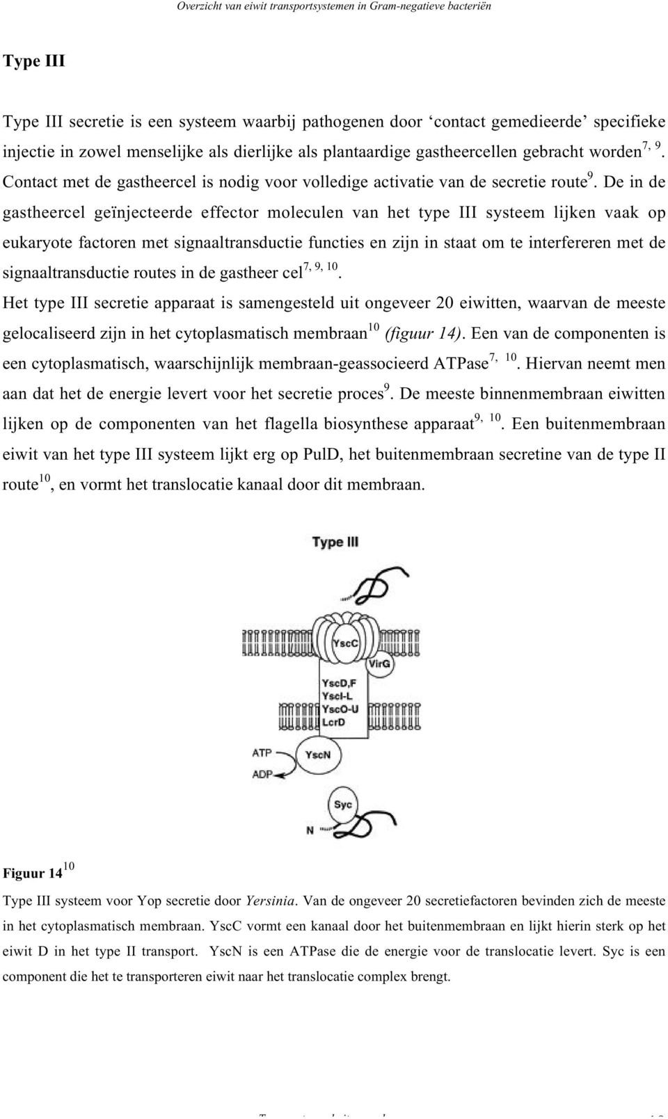 De in de gastheercel geïnjecteerde effector moleculen van het type III systeem lijken vaak op eukaryote factoren met signaaltransductie functies en zijn in staat om te interfereren met de