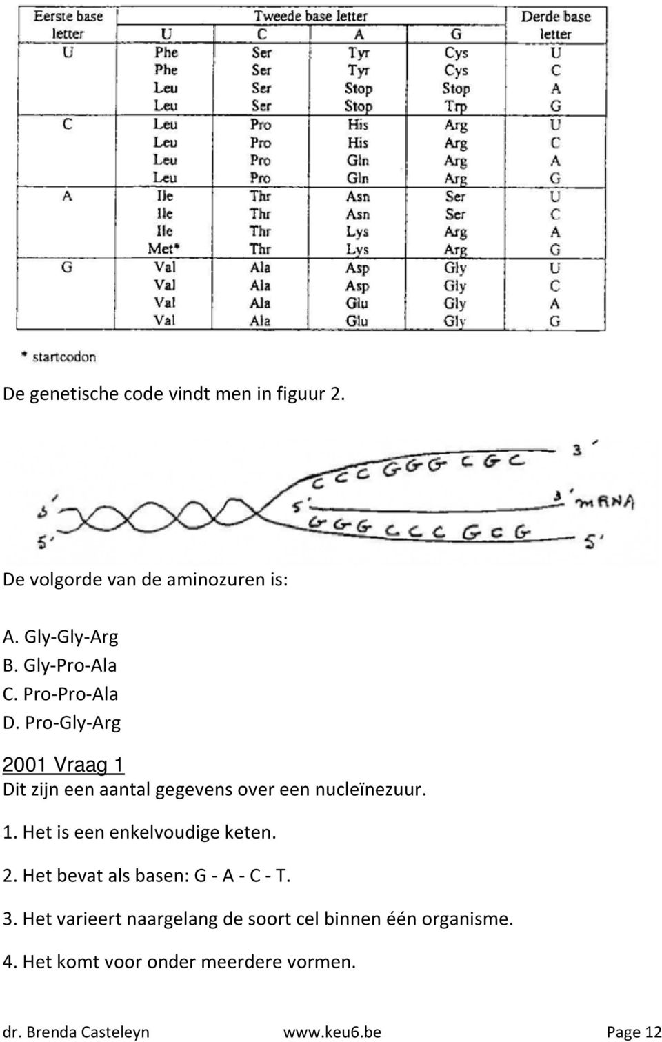 Pro-Gly-Arg 2001 Vraag 1 Dit zijn een aantal gegevens over een nucleïnezuur. 1. Het is een enkelvoudige keten.