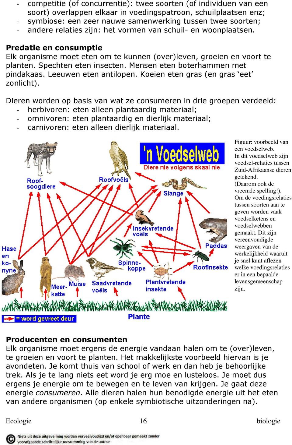 Mensen eten boterhammen met pindakaas. Leeuwen eten antilopen. Koeien eten gras (en gras eet zonlicht).