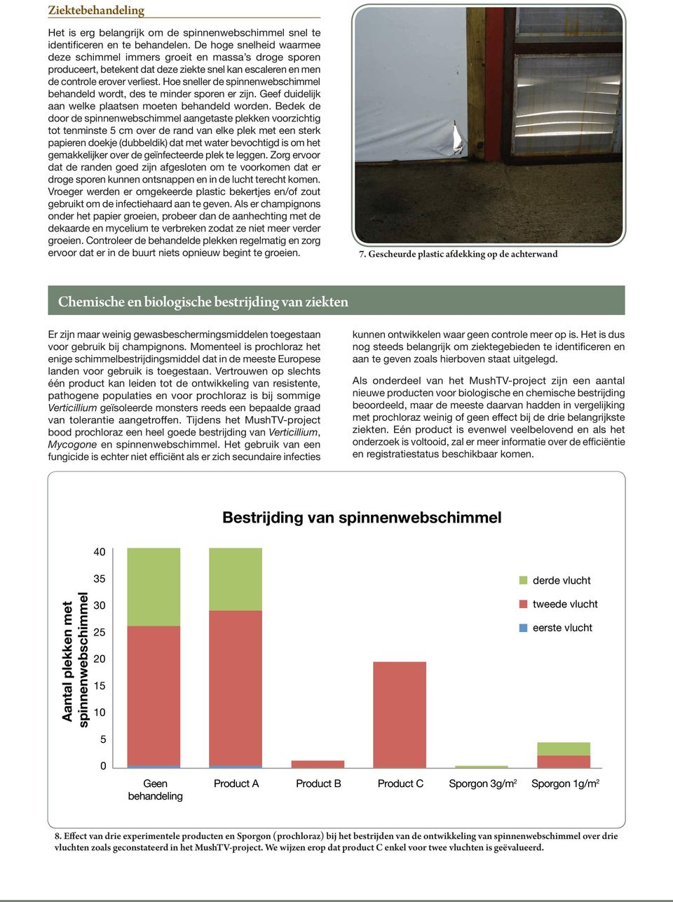 Hoe sneller de spinnenwebschimmel behandeld wordt, des te minder sporen er zijn. Geef duidelijk aan welke plaatsen moeten behandeld worden.