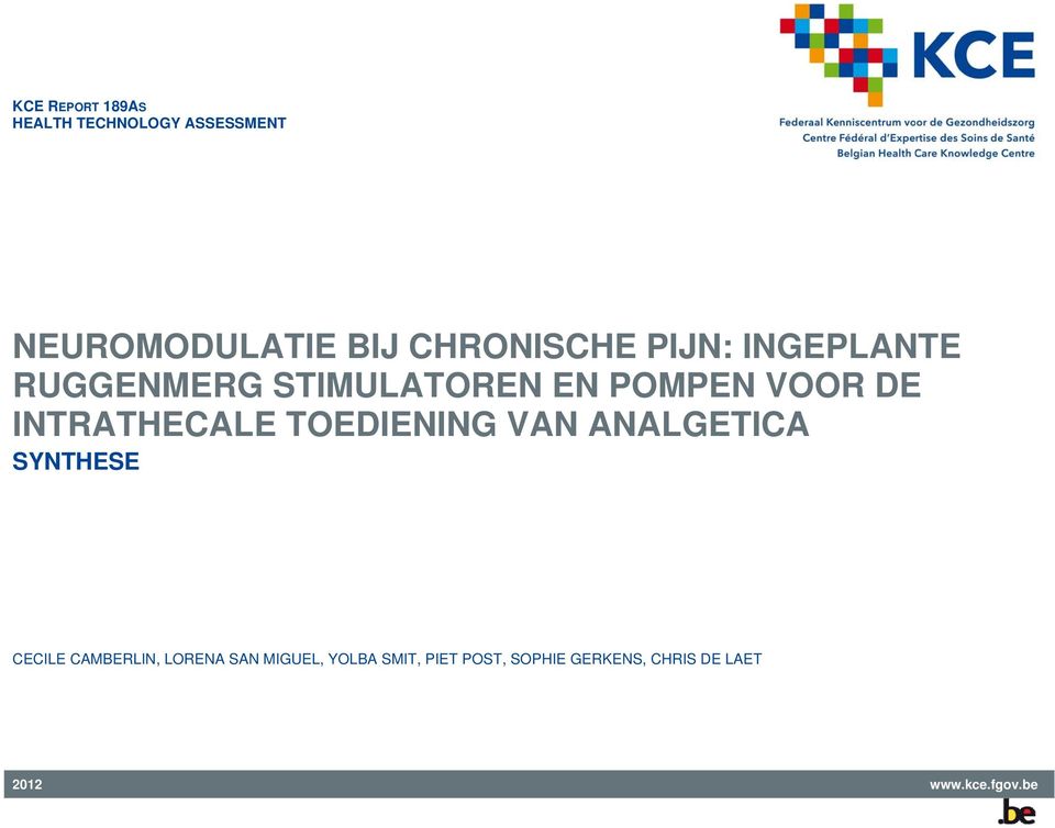 INTRATHECALE TOEDIENING VAN ANALGETICA SYNTHESE CECILE CAMBERLIN, LORENA