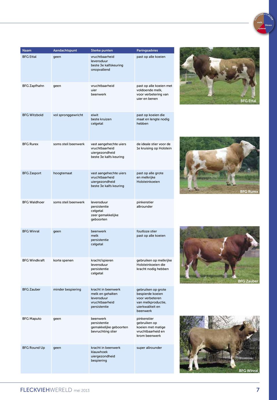 maat en lengte nodig hebben BFG Rurex soms steil beenwerk vast aangehechte uiers vruchtbaarheid uiergezondheid beste 3e kalfs keuring de ideale stier voor de 1e kruising op Holstein BFG Zasport