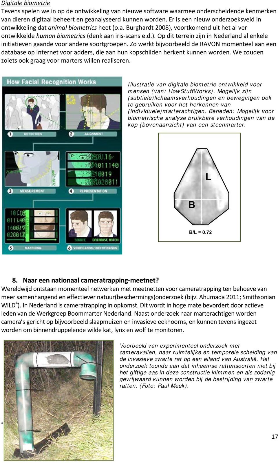 Zo werkt bijvoorbeeld de RAVON momenteel aan een database op Internet voor adders, die aan hun kopschilden herkent kunnen worden. We zouden zoiets ook graag voor marters willen realiseren.