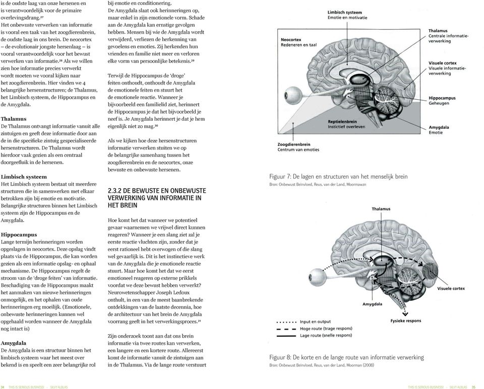 De neocortex de evolutionair jongste hersenlaag is vooral verantwoordelijk voor het bewust verwerken van informatie.