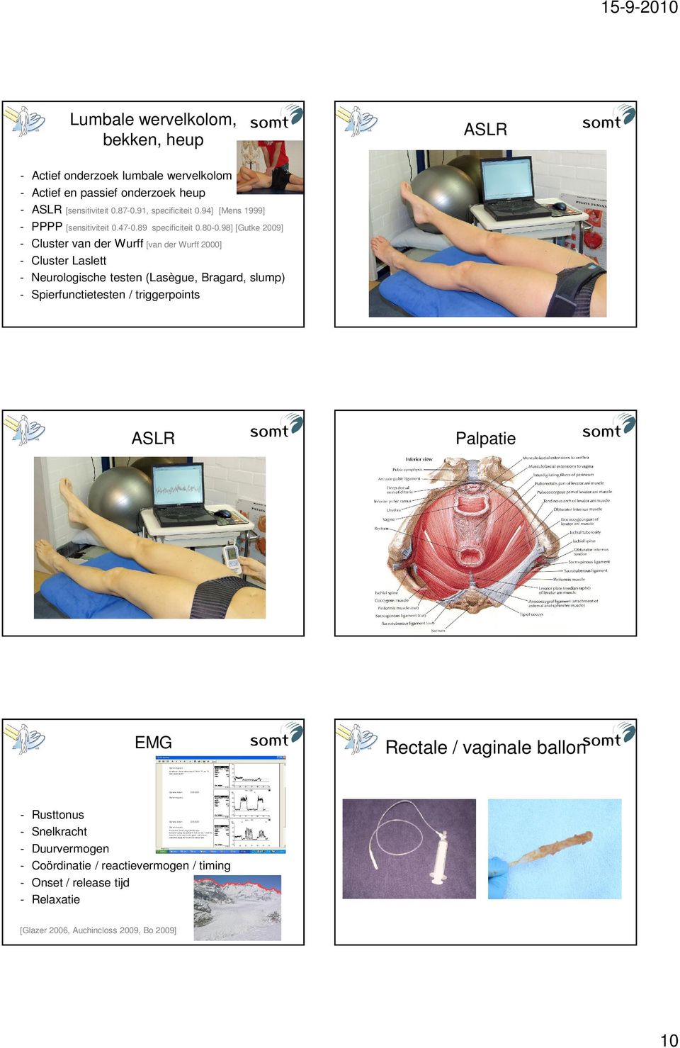 98] [Gutke 2009] Cluster van der Wurff [van der Wurff 2000] Cluster Laslett Neurologische testen (Lasègue, Bragard, slump) Spierfunctietesten /