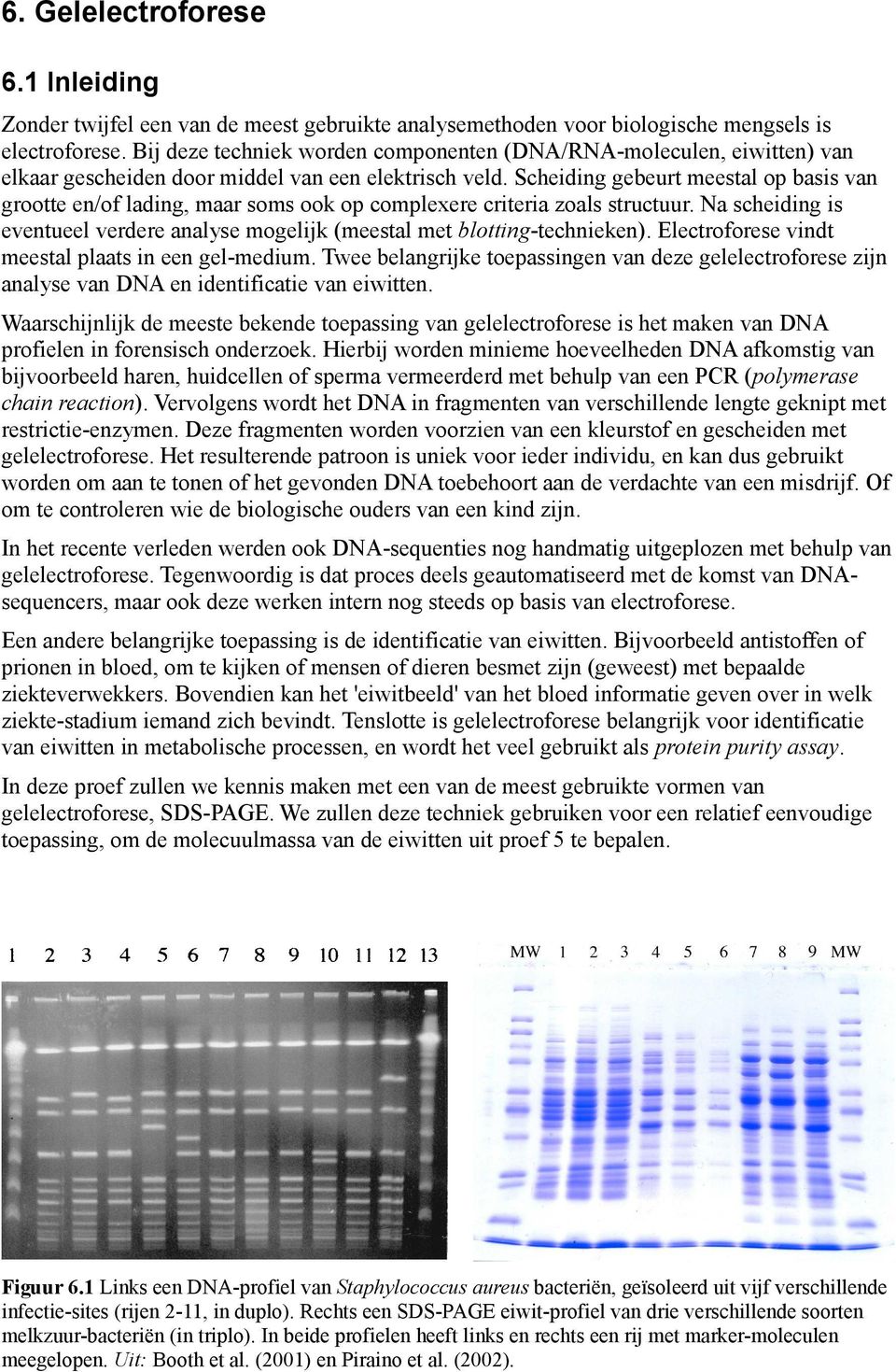 Scheiding gebeurt meestal op basis van grootte en/of lading, maar soms ook op complexere criteria zoals structuur. Na scheiding is eventueel verdere analyse mogelijk (meestal met blotting-technieken).