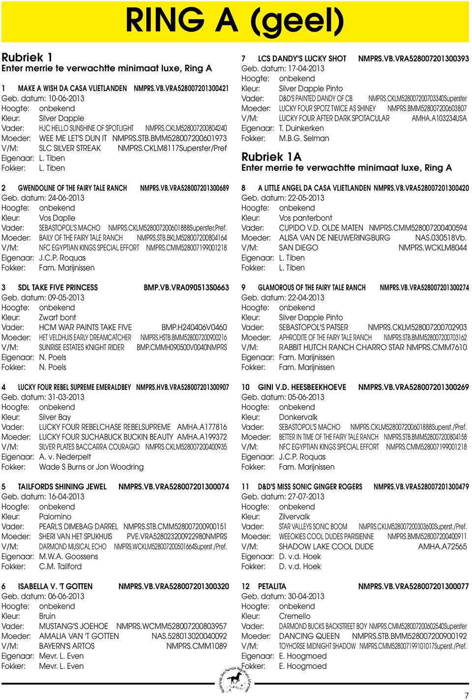 CKLM8117Superster/Pref Eigenaar: L. Tiben Fokker: L. Tiben 2 GWENDOLINE OF THE FAIRY TALE RANCH NMPRS.VB.VRA528007201300689 Geb. datum: 24-06-2013 Kleur: Vos Daplle Vader: SEBASTOPOL'S MACHO NMPRS.