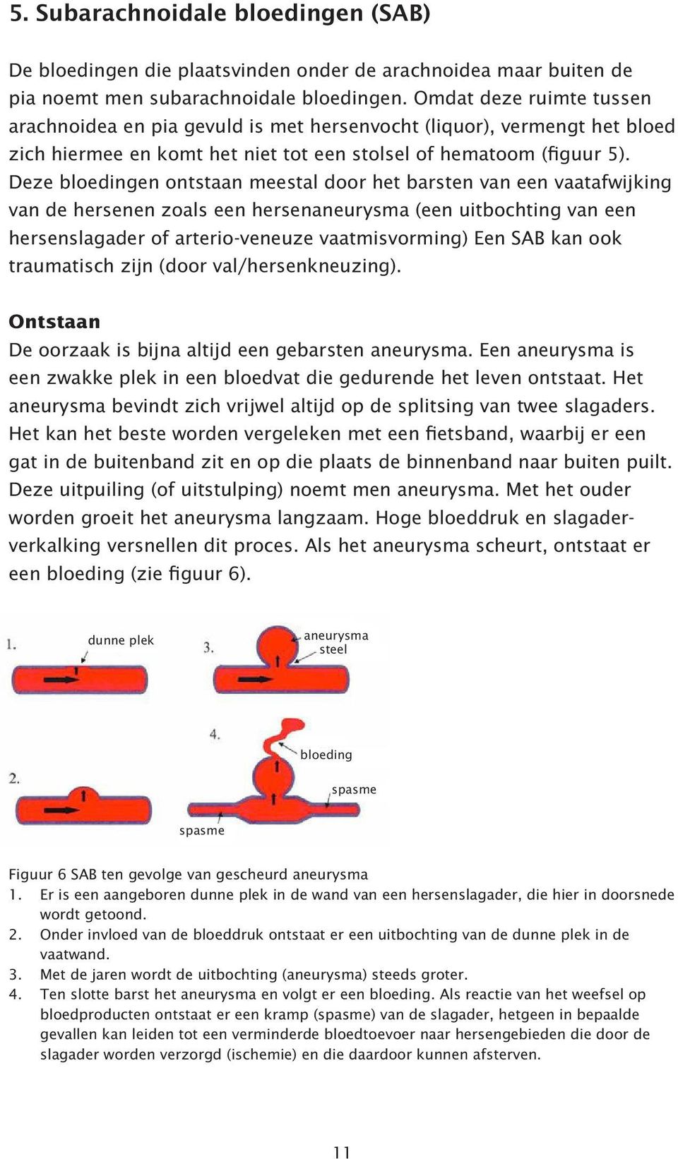 Deze bloedingen ontstaan meestal door het barsten van een vaatafwijking van de hersenen zoals een hersenaneurysma (een uitbochting van een hersenslagader of arterio-veneuze vaatmisvorming) Een SAB