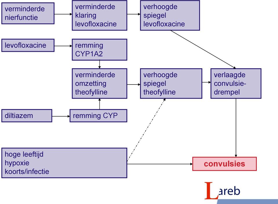 omzetting theofylline verhoogde spiegel theofylline verlaagde