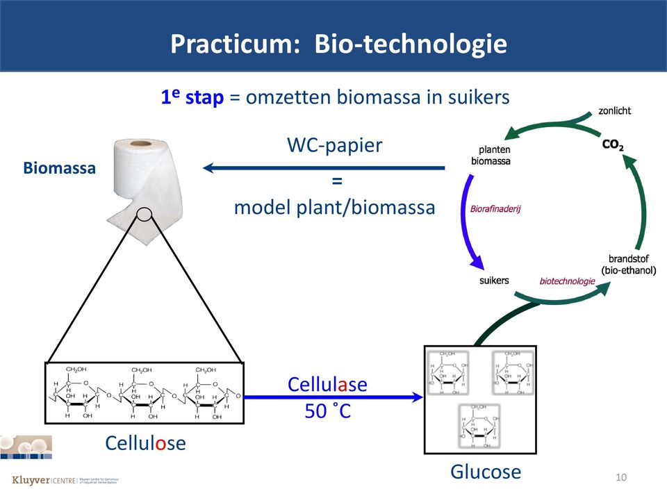 Biomassa WC-papier = model