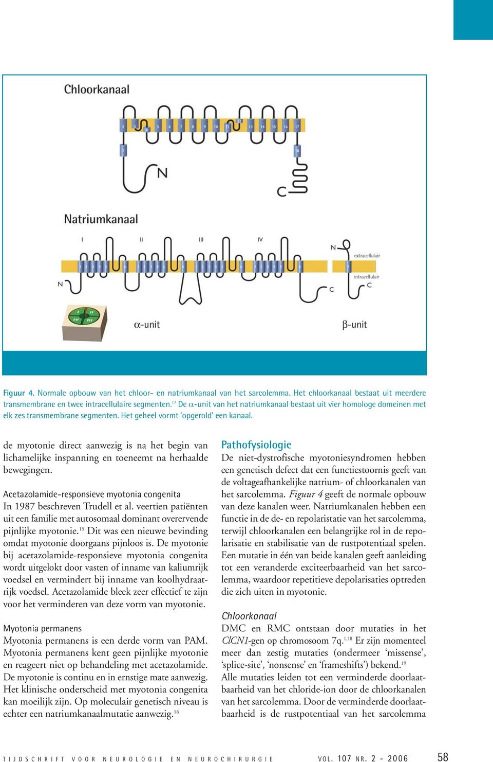 de myotonie direct aanwezig is na het begin van lichamelijke inspanning en toeneemt na herhaalde bewegingen. Acetazolamide-responsieve myotonia congenita In 1987 beschreven Trudell et al.