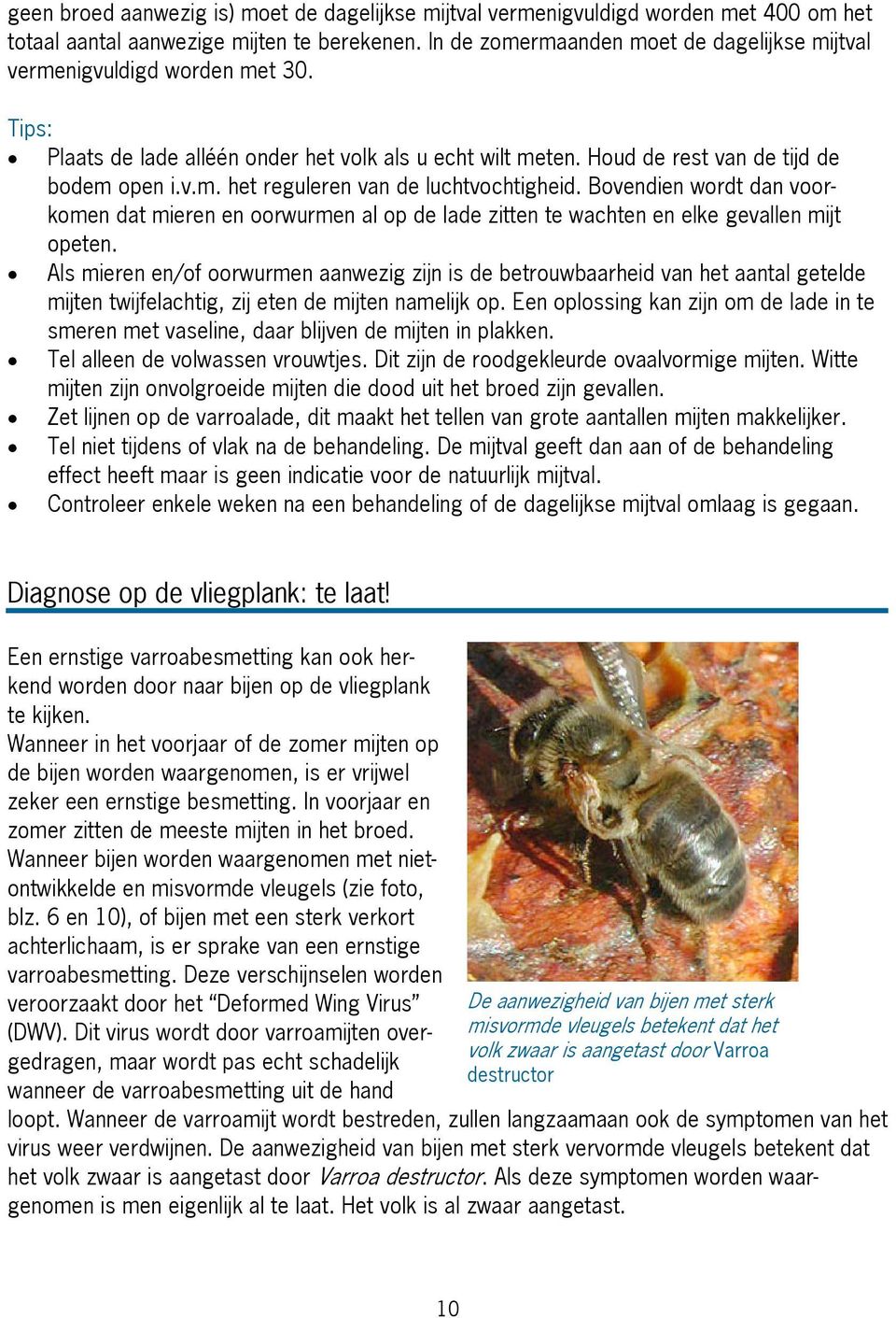 ovendien wordt dan voorkomen dat mieren en oorwurmen al op de lade zitten te wachten en elke gevallen mijt opeten.