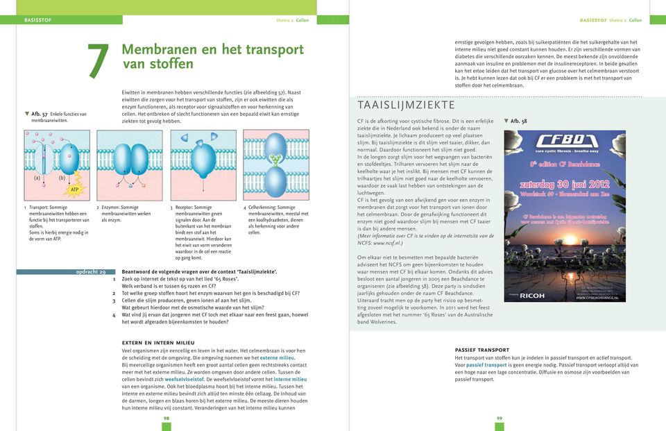 Naast eiwitten die zorgen voor het transport van stoffen, zijn er ook eiwitten die als enzym functioneren, als receptor voor signaalstoffen en voor herkenning van cellen.