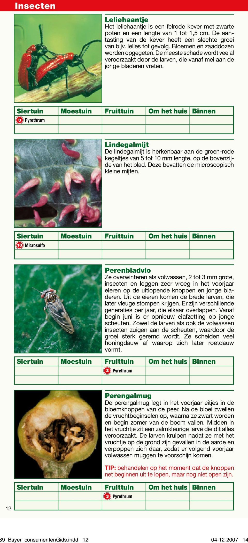 Lindegalmijt De lindegalmijt is herkenbaar aan de groen-rode kegeltjes van 5 tot 10 mm lengte, op de bovenzijde van het blad. Deze bevatten de microscopisch kleine mijten.