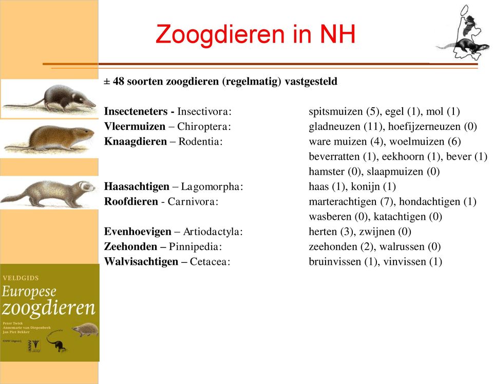 (0), slaapmuizen (0) Haasachtigen Lagomorpha: haas (1), konijn (1) Roofdieren - Carnivora: marterachtigen (7), hondachtigen (1) wasberen (0),