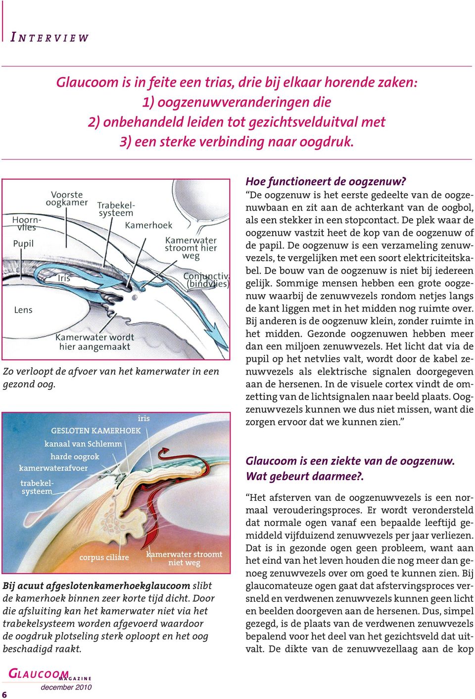 De ziekte van de oogzenuw is dus niet zozeer dát er zenuwvezels afsterven, maar vooral hoeveel en in welk tempo ze verdwijnen. Hoe ervaart een glaucoompatiënt gezichtsvelduitval?