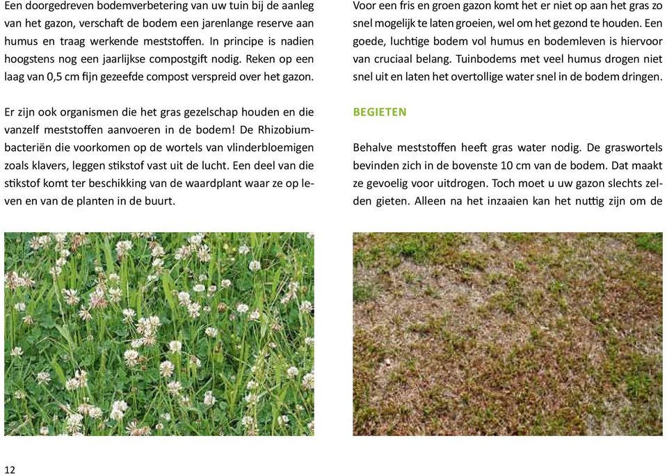 Er zijn ook organismen die het gras gezelschap houden en die vanzelf meststoffen aanvoeren in de bodem!