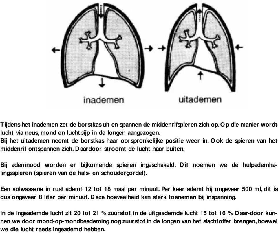 Bij ademnood worden er bijkomende spieren ingeschakeld. Dit noemen we de hulpademhalingsspieren (spieren van de hals- en schoudergordel). Een volwassene in rust ademt 12 tot 18 maal per minuut.